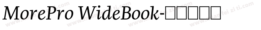 MorePro WideBook字体转换